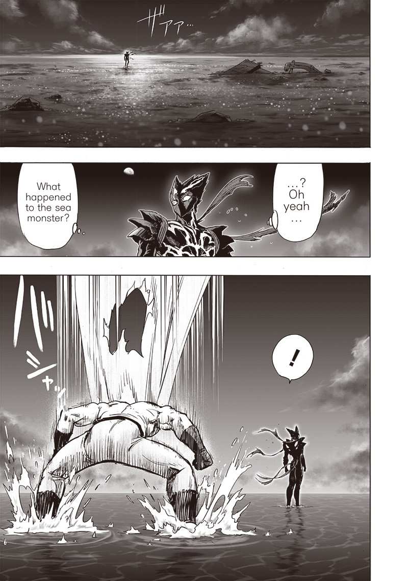 One-Punch Man Chapter 159.16 25